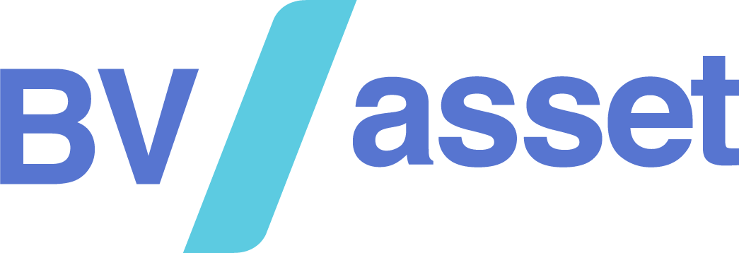 BV Asset